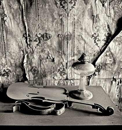 Violin