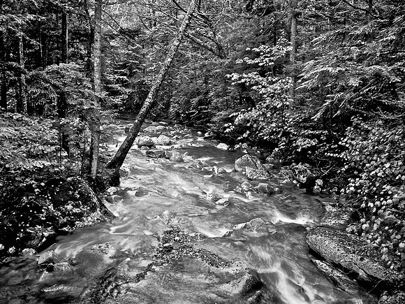 New England