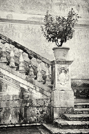 Villa d'Este 2