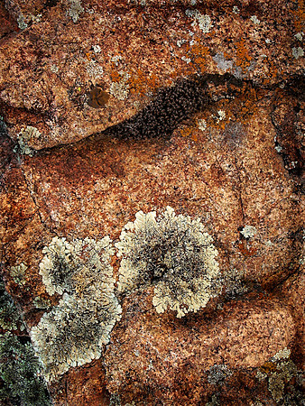 Rock Detail