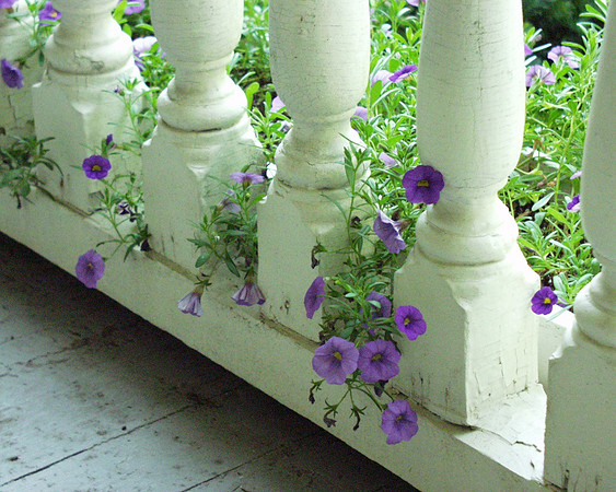Porch Accent