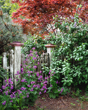 Garden Gate