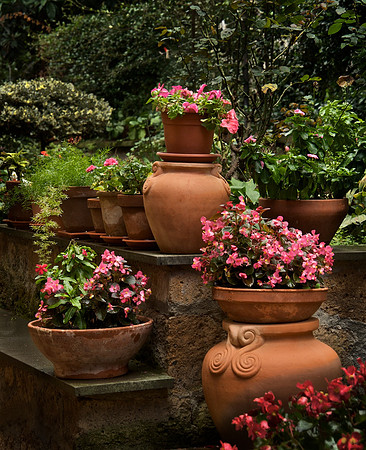 Garden 5