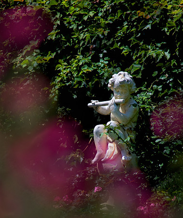 Garden 2