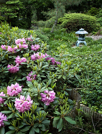 Japanese Garden