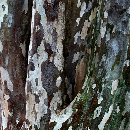 Camoflage