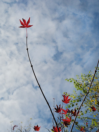 Reach