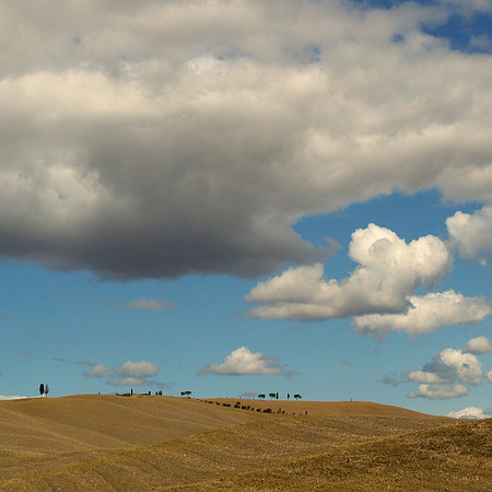 Tuscany Scene
