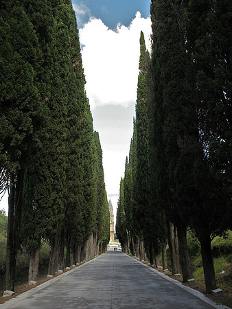 Cyprus Road