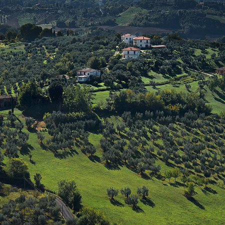 The Valley
