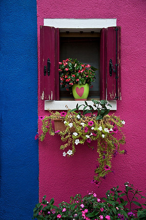 Pink Wall