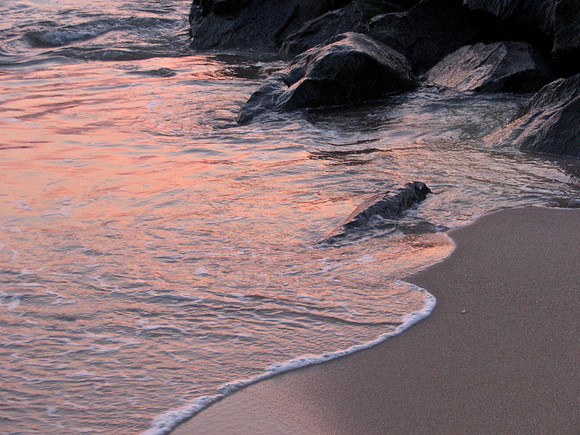 Shoreline