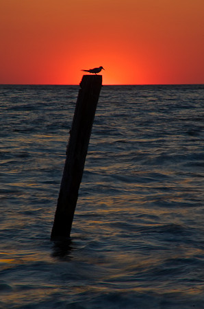 Bay Sunset