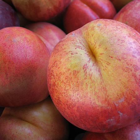 Fruit