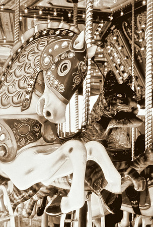 Carousel Horses