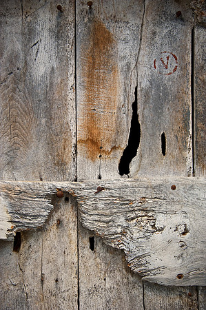 Door Design