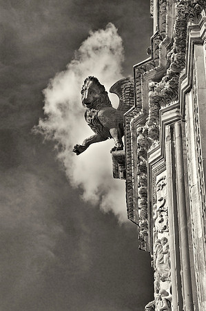 Orvieto Lion