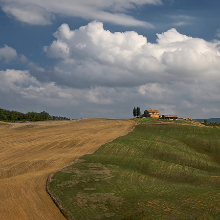 Tuscany Landscape 3
