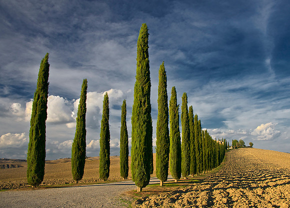 Cyprus Diagonal