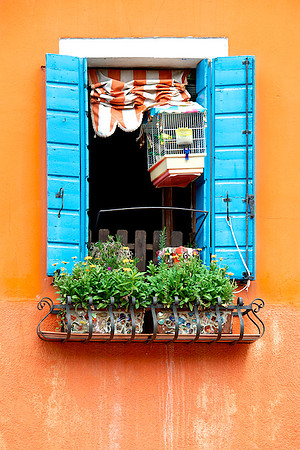 Burano Birdcage