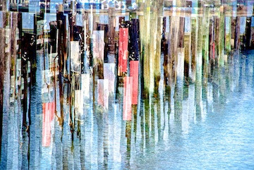 The Dock