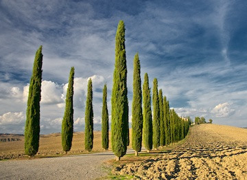 Cyprus Diagonal