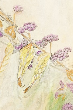 Detail with Watercolor