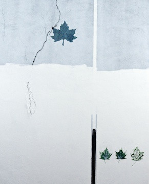Leaves in Balance