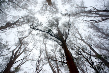 Reaching