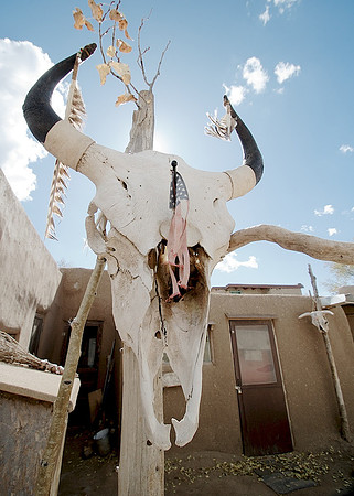 Taos Skull