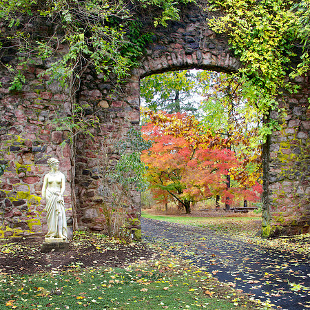 Garden Arch
