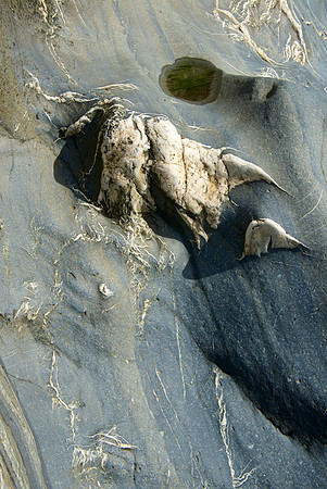 Stone Detail