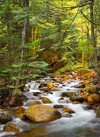 New England Fall