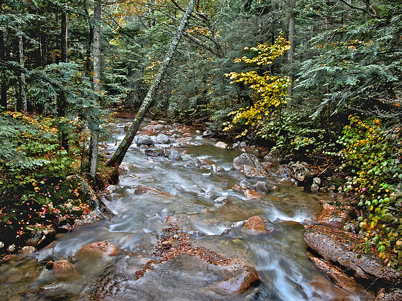 New England Fall 2
