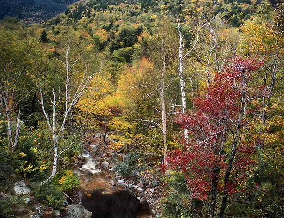 New England Fall 4