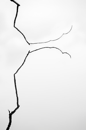 Stark Stick