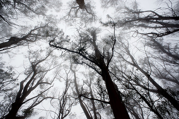 Reaching