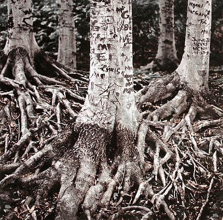 Markings