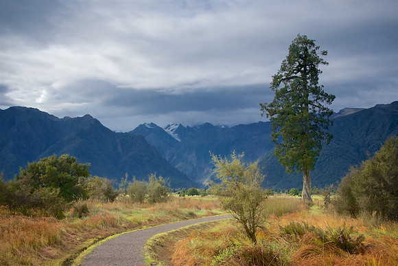 The Road Less Traveled