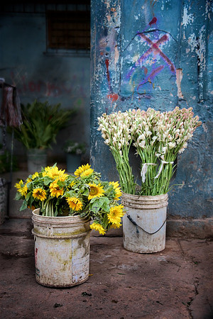 Flower Market