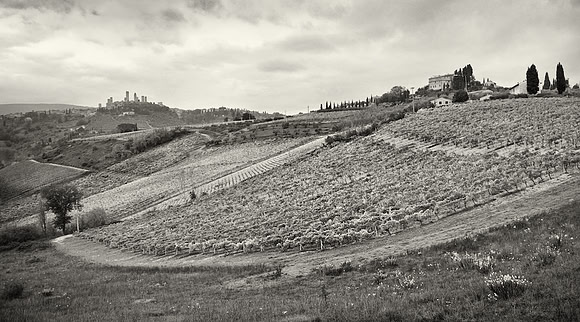 Tuscan Landscape