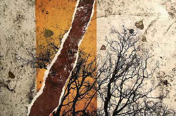 Torn