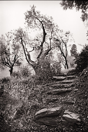 Italian Steps