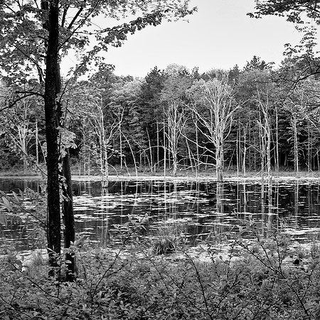 Peters Valley Lake
