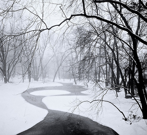 Passaic River Park