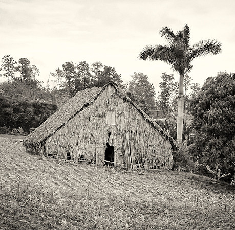 Tobacco Barn