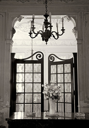 Survival of Elegance