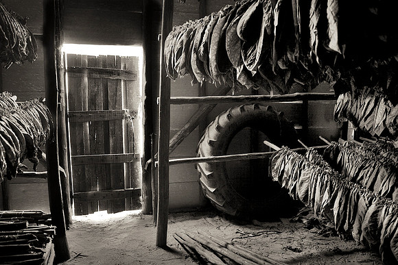 Tobacco Barn 2