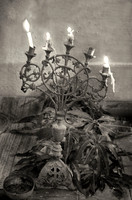 The Ceremony
