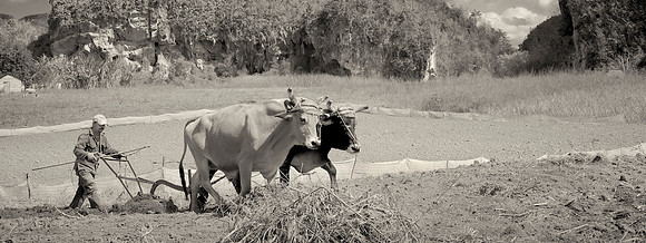 Plowing